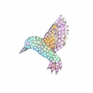 25  Hummingbird brooch