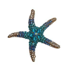 35 Blue Starfish
