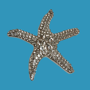 Beachies Silver Starfish