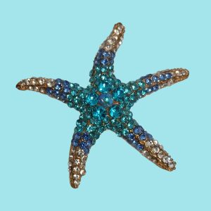 Beachies Blue Starfish